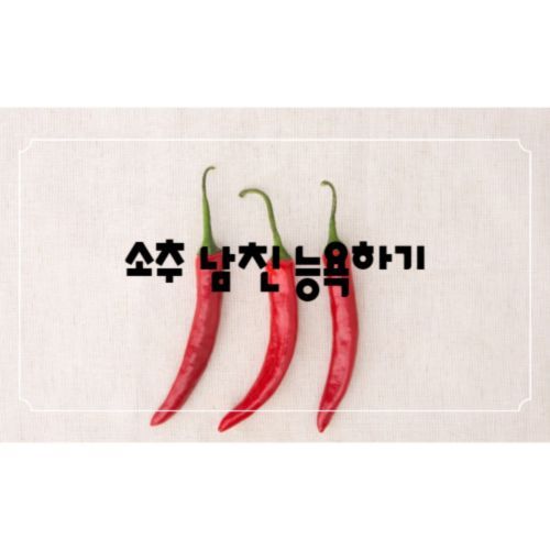 소추 남친 능욕하기